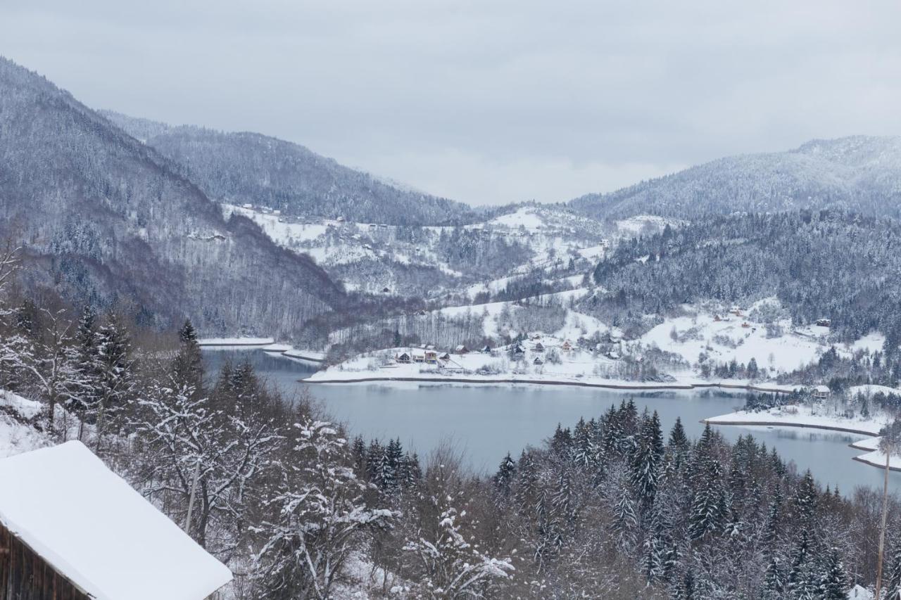 Konak Mandica Avlija Zaovine Exteriör bild
